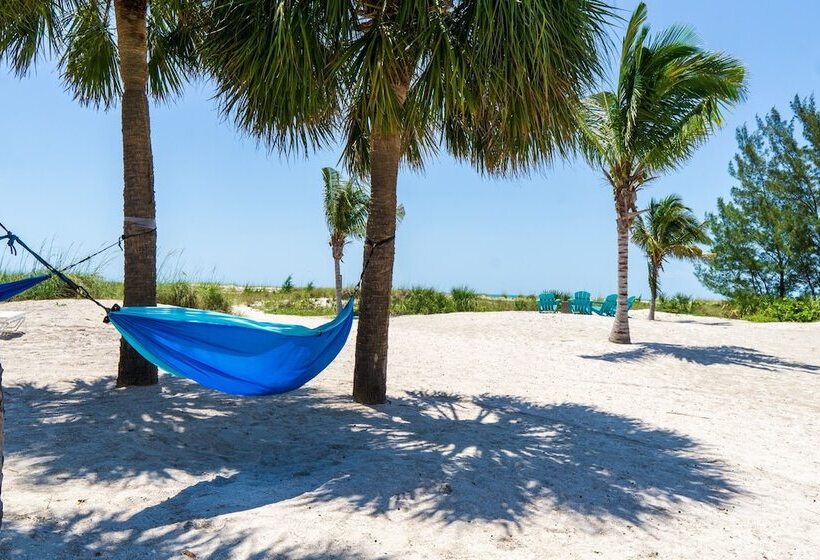 汽车旅馆  The Molloy   Treasure Island Suites & Cottages