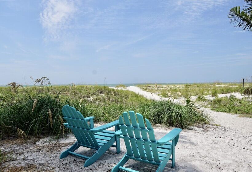 汽车旅馆  The Molloy   Treasure Island Suites & Cottages