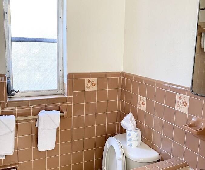 汽车旅馆  The Molloy   Treasure Island Suites & Cottages