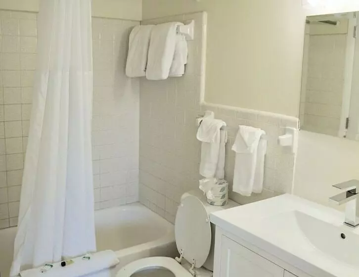 Мотель The Molloy Treasure Island Suites & Cottages