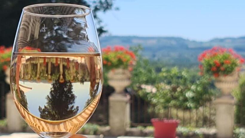 بنسيون Château De Scandaillac