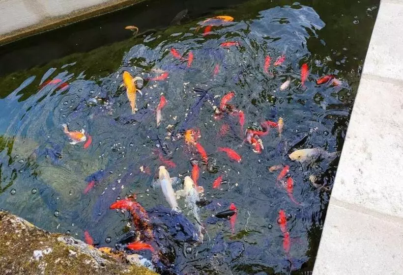 ペンション Château De Scandaillac