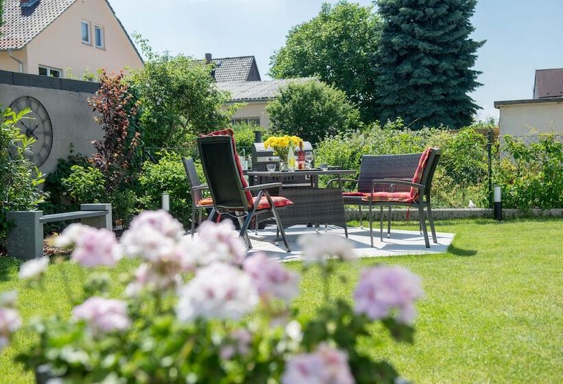 Отель Apartmenthaus Horster