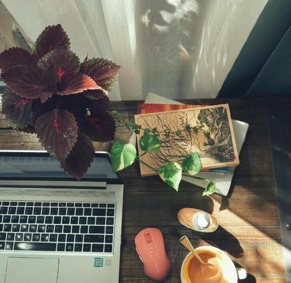 هتل Auntie Liên S Homestay