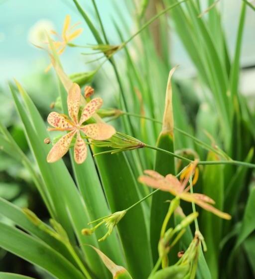 هتل Auntie Liên S Homestay