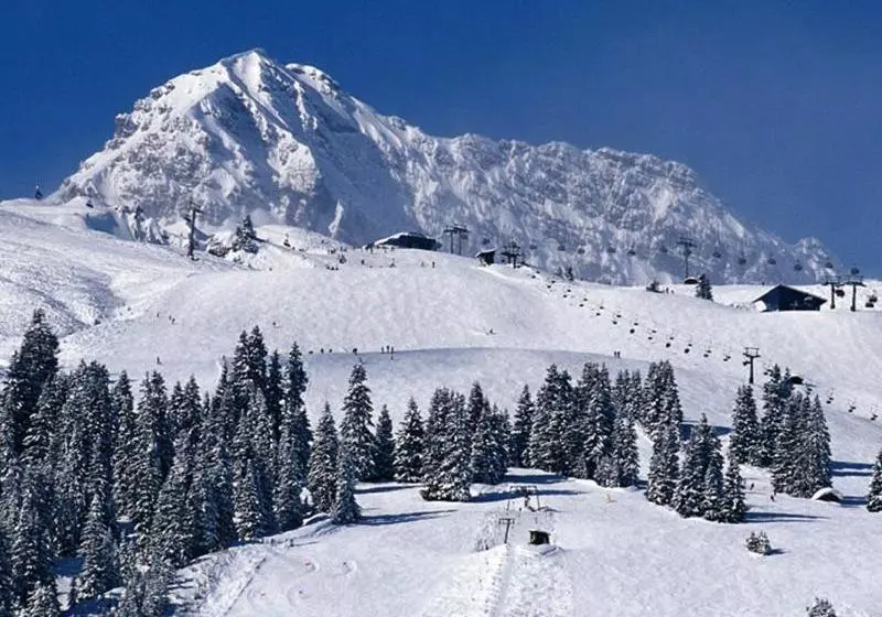 Hotelli Pension Grissemann