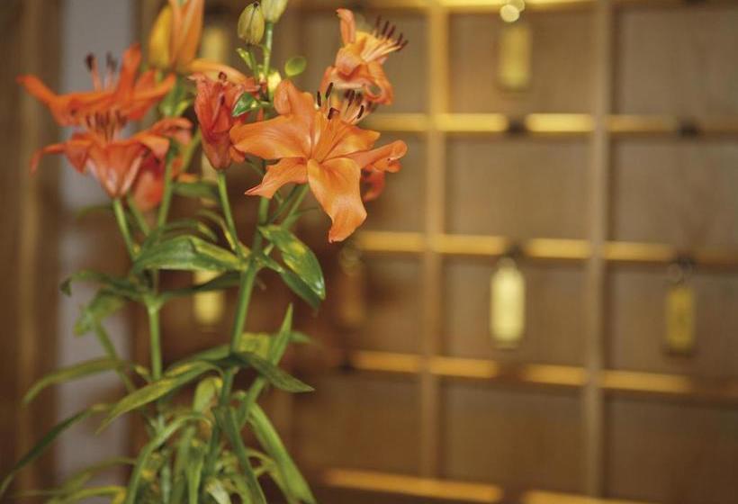 فندق Pension Grissemann