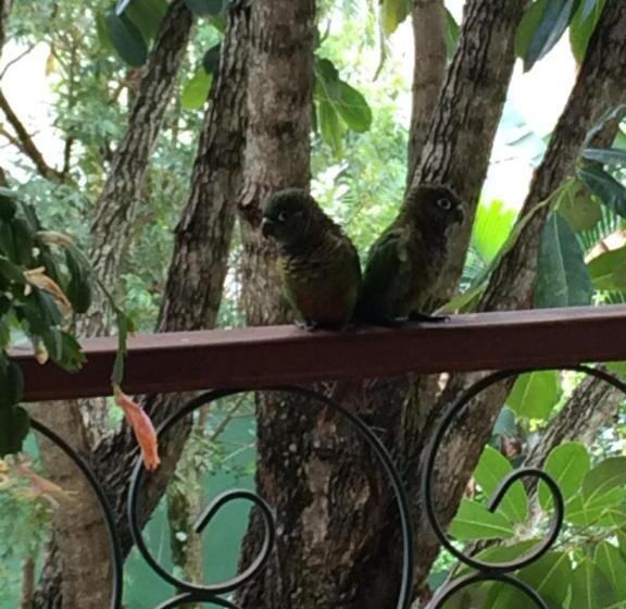 Pension Bela Ilha Guest House