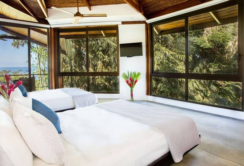 پانسیون Monkitail At Tulemar