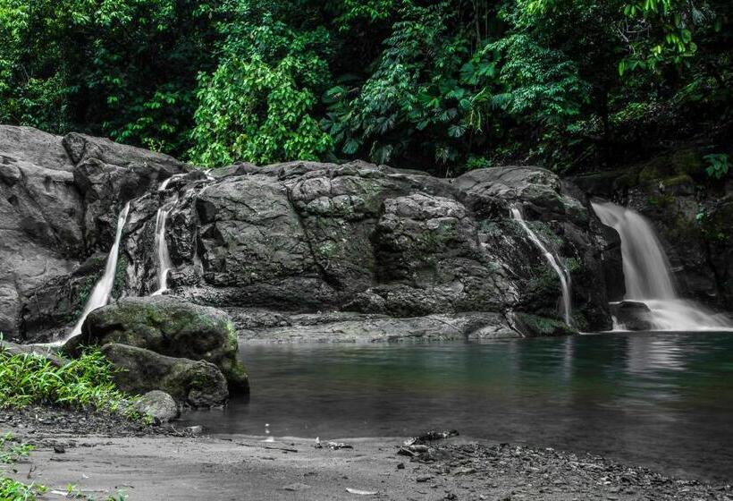 Casa Cerise Beachfront