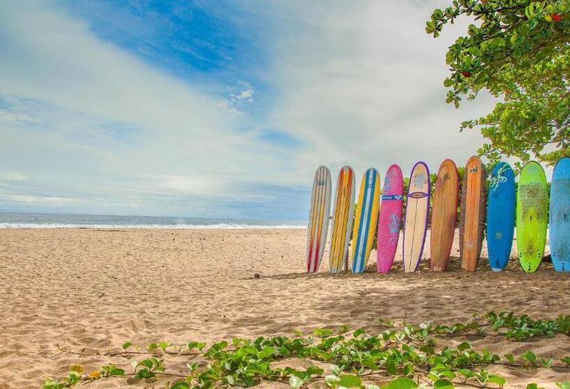 Casa Cerise Beachfront