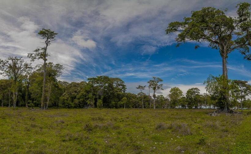 Casa Cerise Beachfront