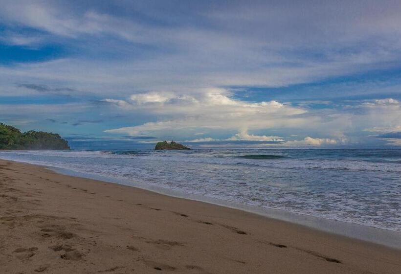 Casa Cerise Beachfront