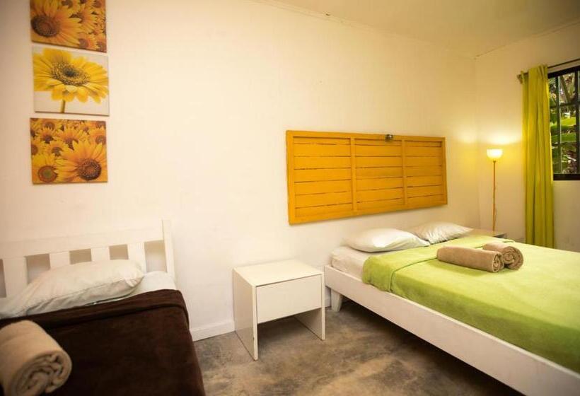 Casa Cerise Beachfront