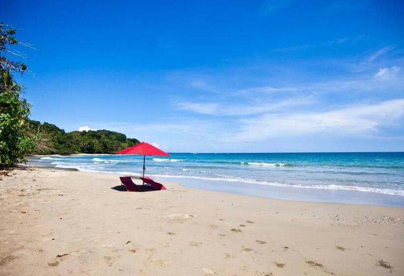 Casa Cerise Beachfront