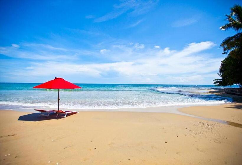 Casa Cerise Beachfront