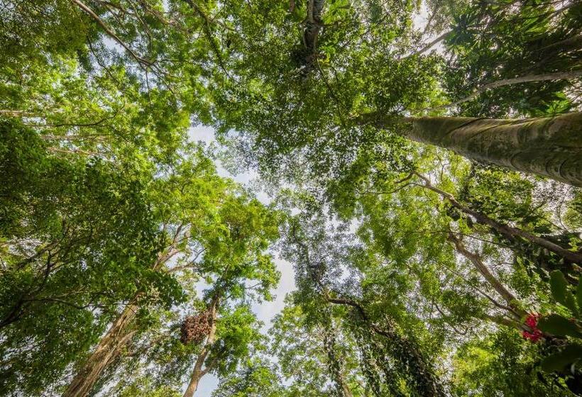 Casa Cerise Beachfront