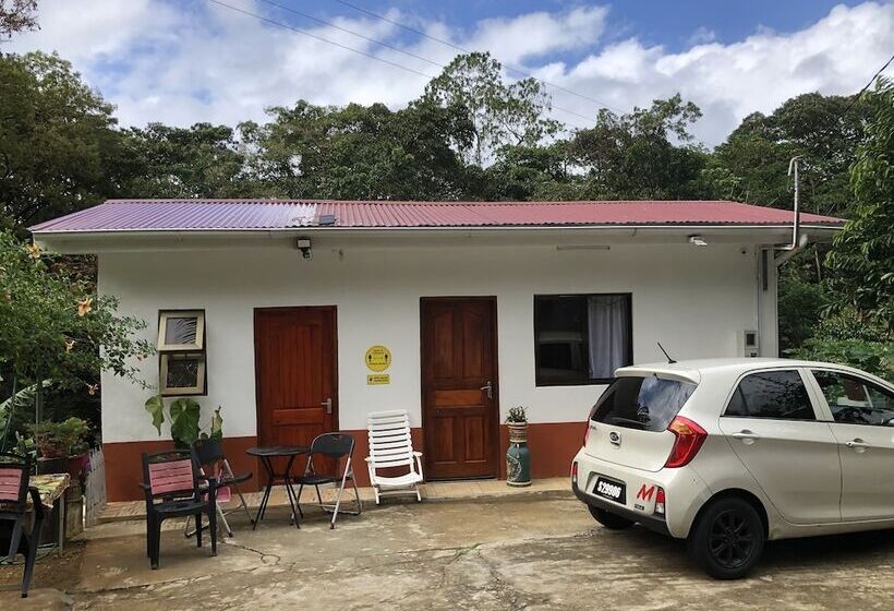 پانسیون Papaya Guesthouse