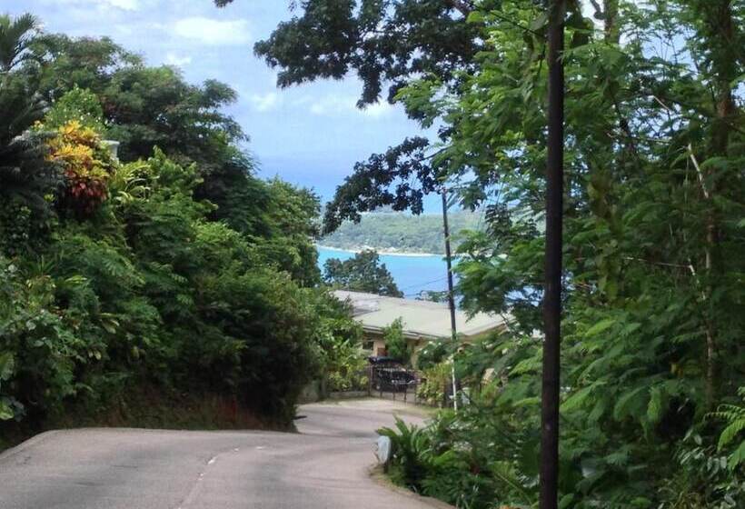 پانسیون Papaya Guesthouse