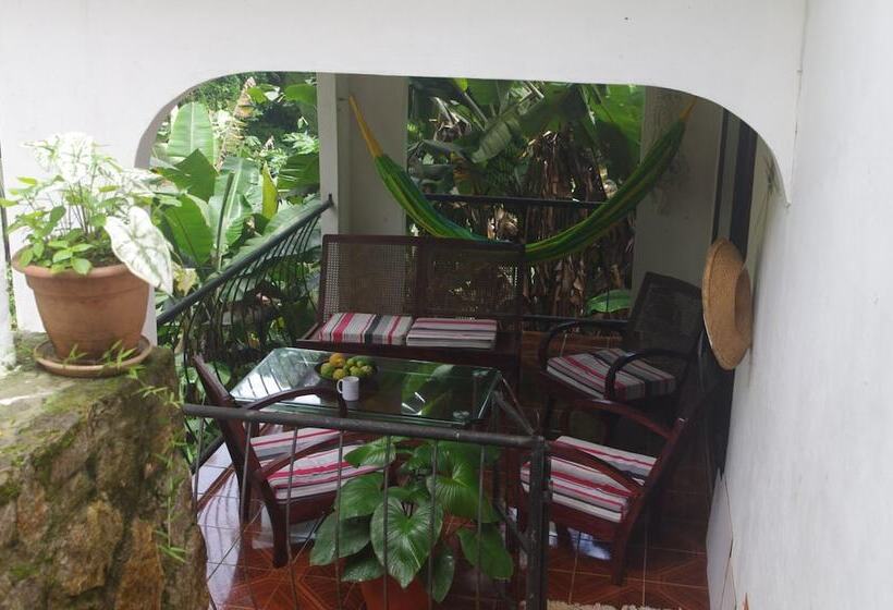 پانسیون Papaya Guesthouse