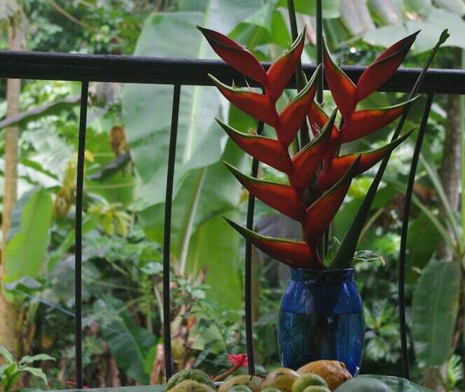 پانسیون Papaya Guesthouse