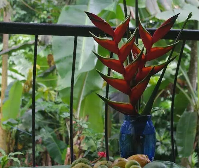 Majatalo Papaya Guesthouse