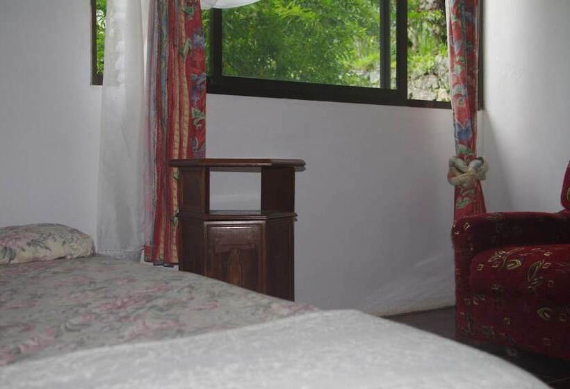 پانسیون Papaya Guesthouse