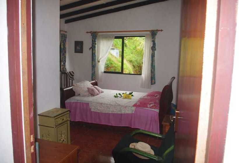 پانسیون Papaya Guesthouse