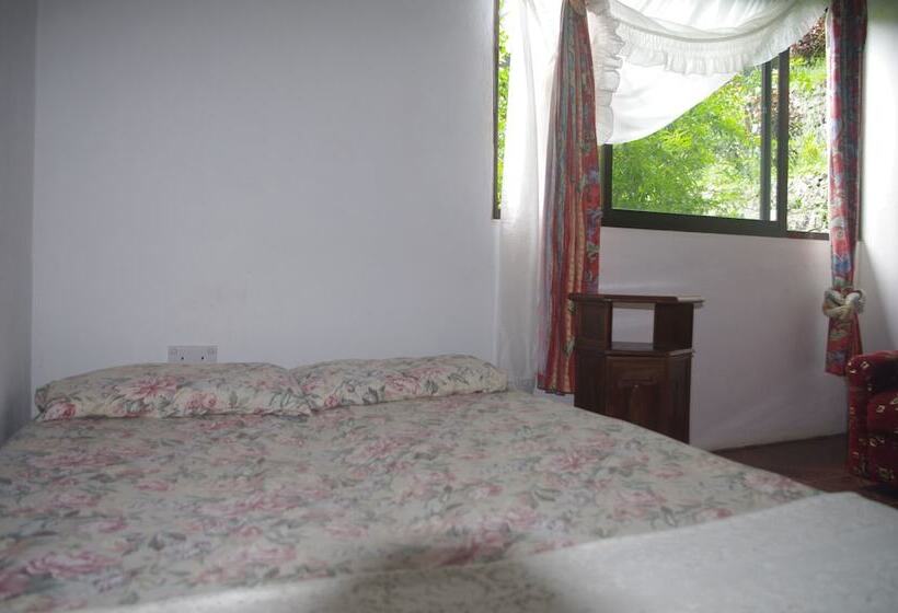 پانسیون Papaya Guesthouse