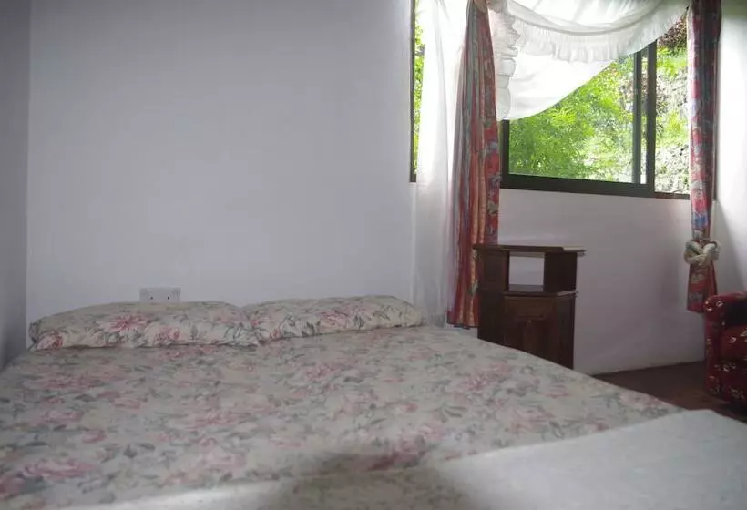 Majatalo Papaya Guesthouse