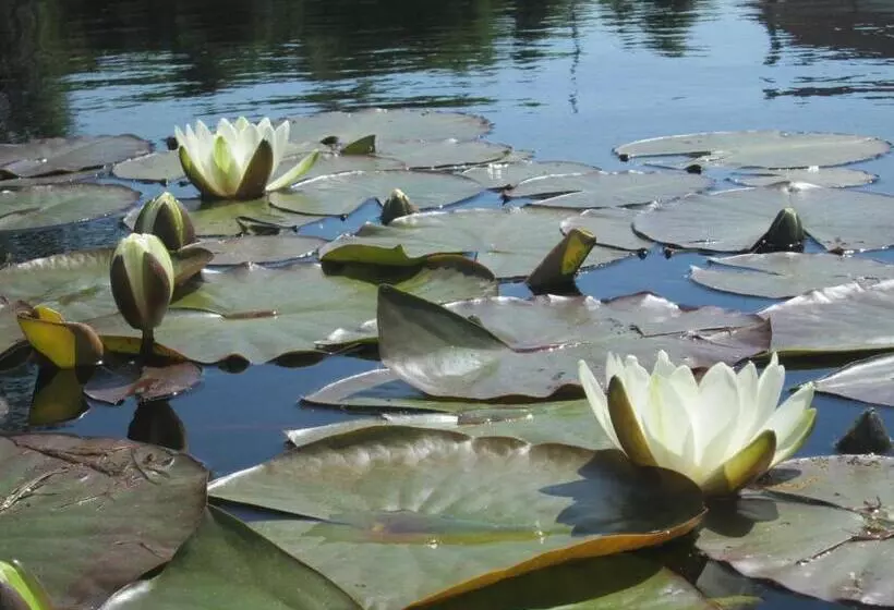 Aamiaismajoitus (B&B) Le Champ Du Pré