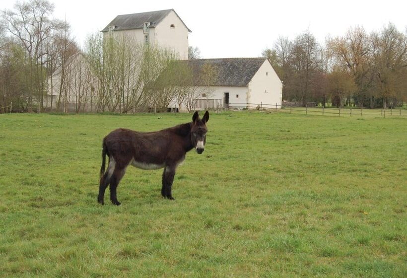 مبيت وإفطار Le Moulin Neuf