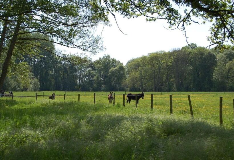 مبيت وإفطار Le Moulin Neuf