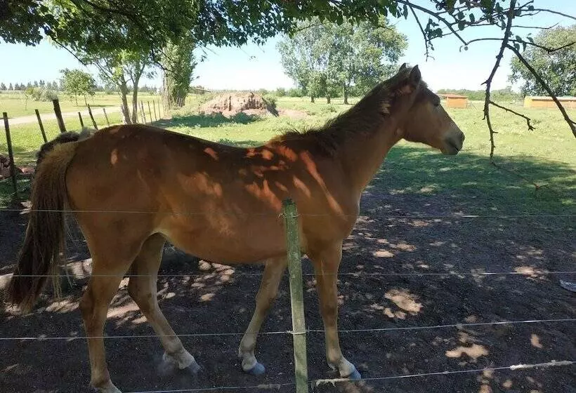 Hotelli Pampas Del Sur