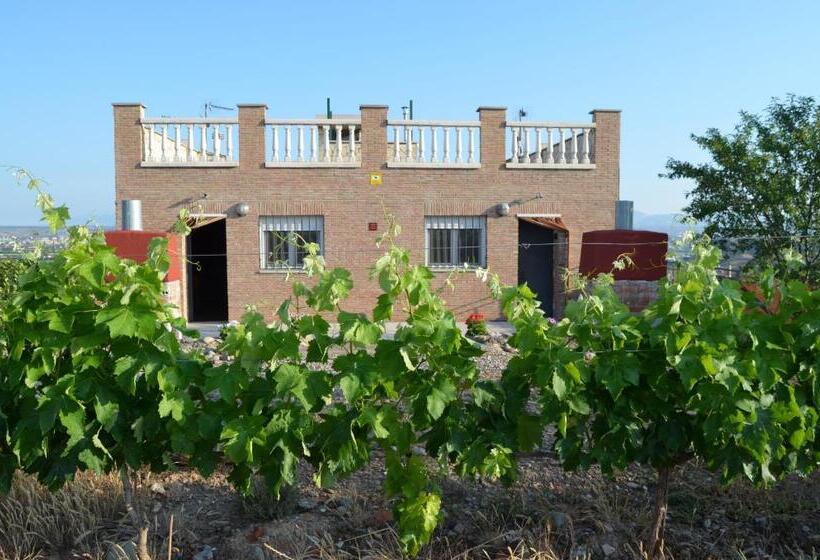 Apartamentos Matraca