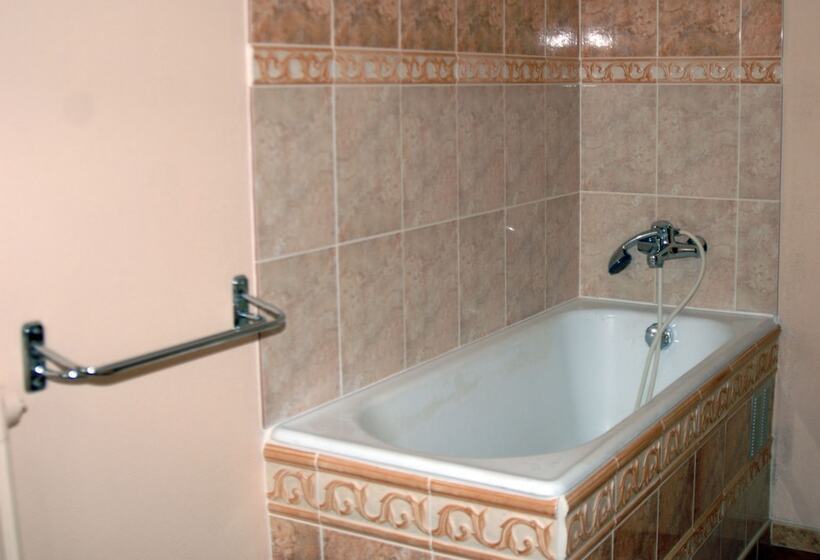 مبيت وإفطار La Vieille France