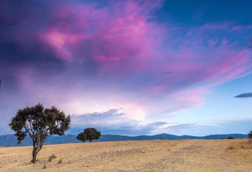 Cabañas De La Romedina