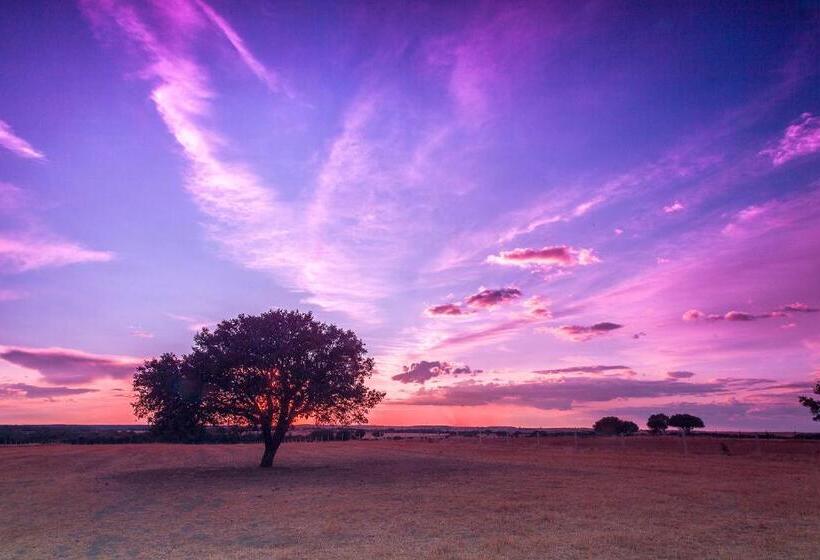 Cabañas De La Romedina