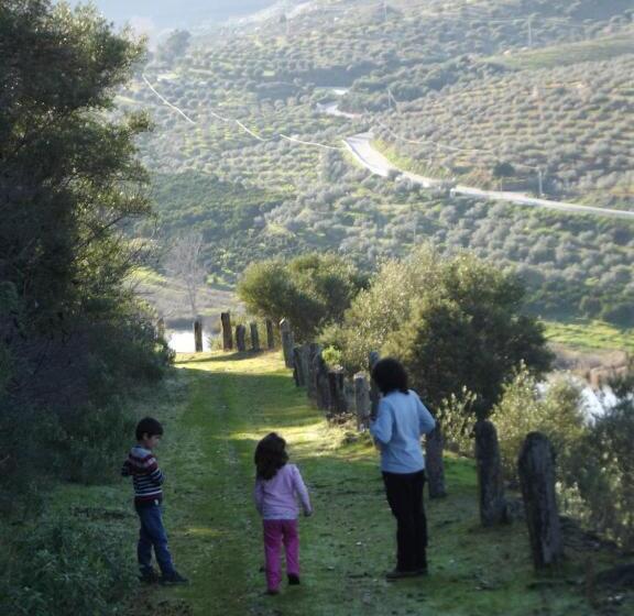 Cabañas De La Romedina