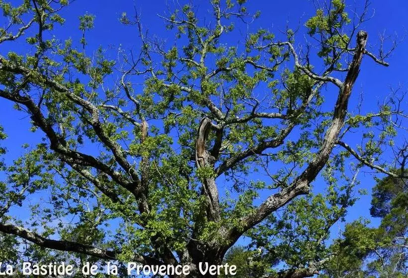 ペンション La Bastide De La Provence Verte, Chambres D Hôtes