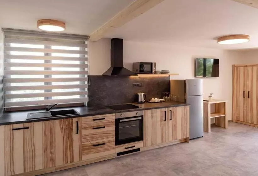 Wellness Aparthotel Martiňák