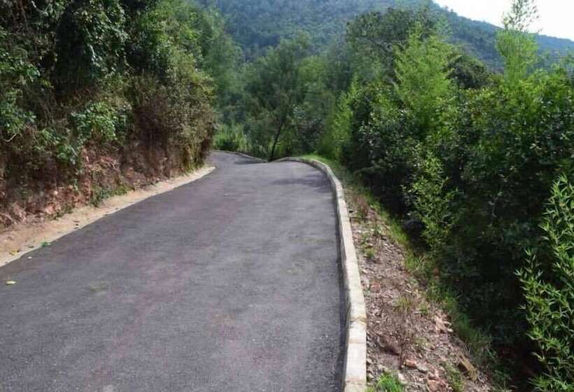 تختخواب و صبحانه Summit Safari Lodge