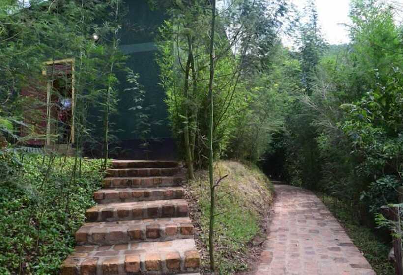 تختخواب و صبحانه Summit Safari Lodge