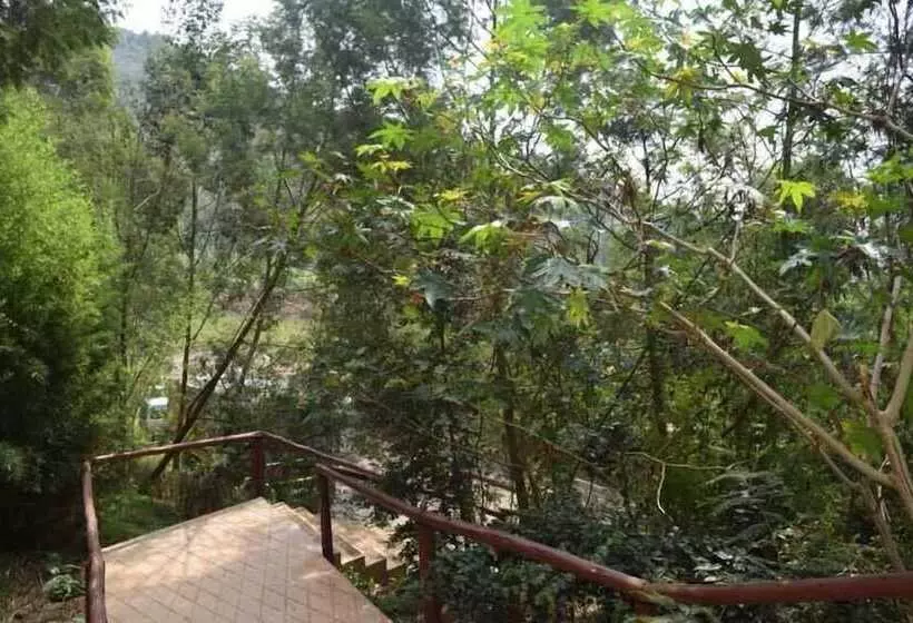 تختخواب و صبحانه Summit Safari Lodge