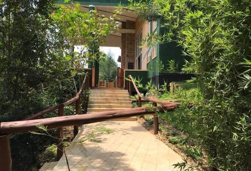 تختخواب و صبحانه Summit Safari Lodge