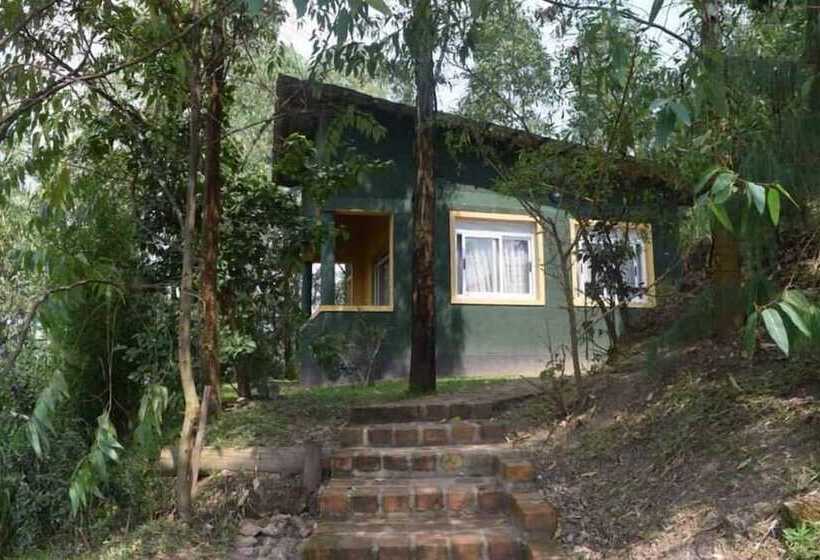 تختخواب و صبحانه Summit Safari Lodge