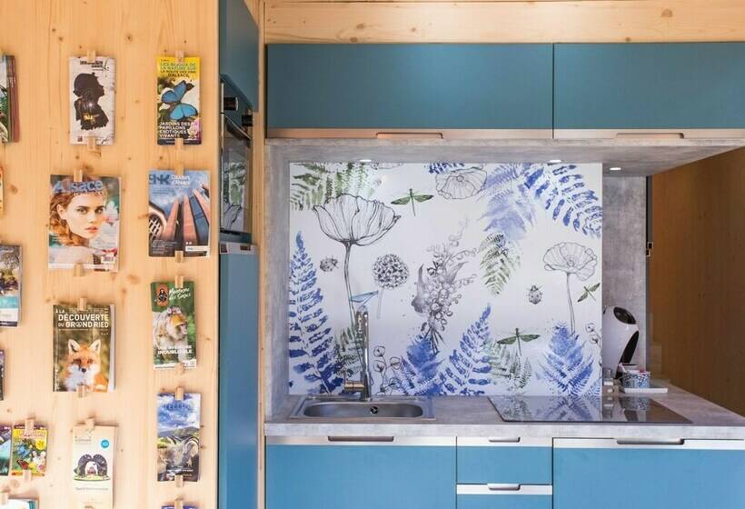 Gîtes Insolites L Oasis Des Coccinelles