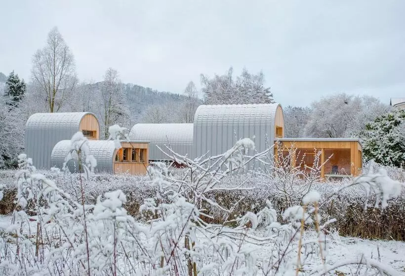 Gîtes Insolites L Oasis Des Coccinelles