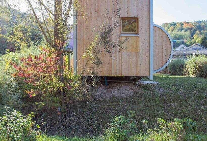 Gîtes Insolites L Oasis Des Coccinelles