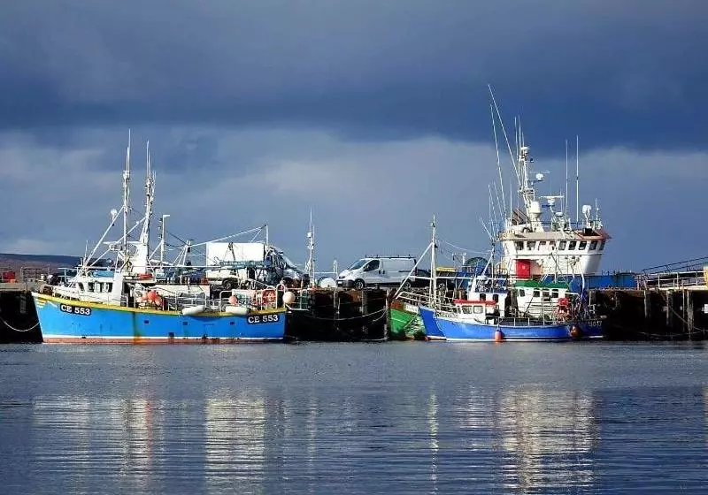 ホテル Carey S Viking House